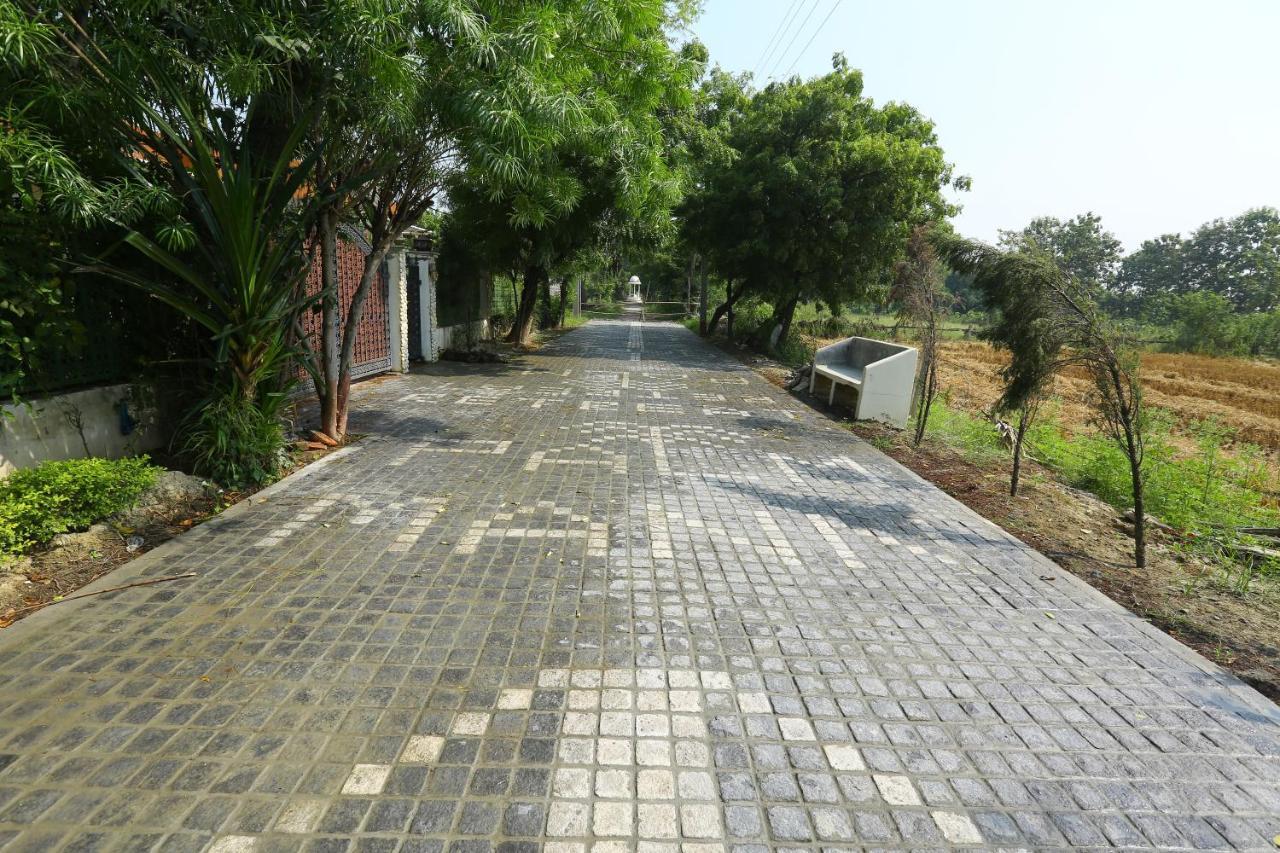 Mann The Palm Retreat Hotell Lucknow Eksteriør bilde