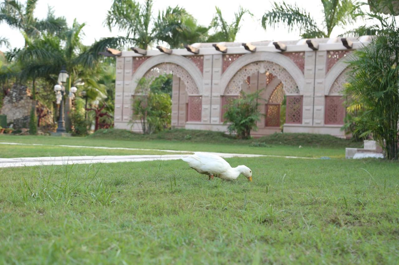 Mann The Palm Retreat Hotell Lucknow Eksteriør bilde
