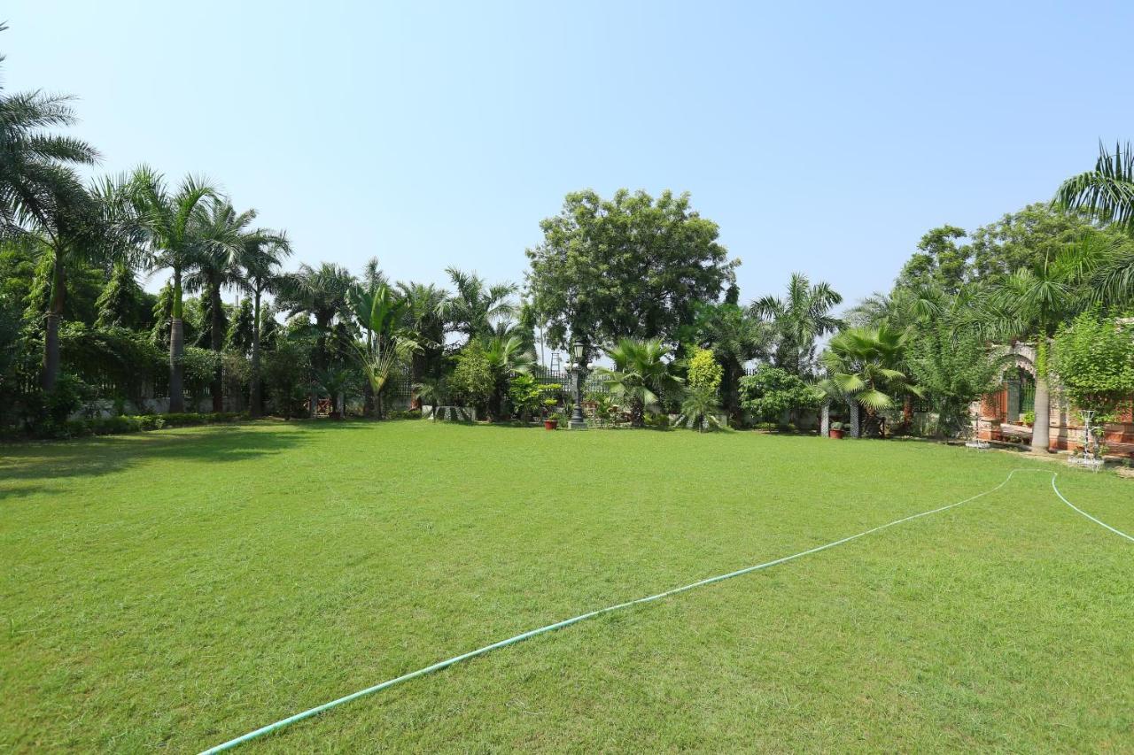 Mann The Palm Retreat Hotell Lucknow Eksteriør bilde